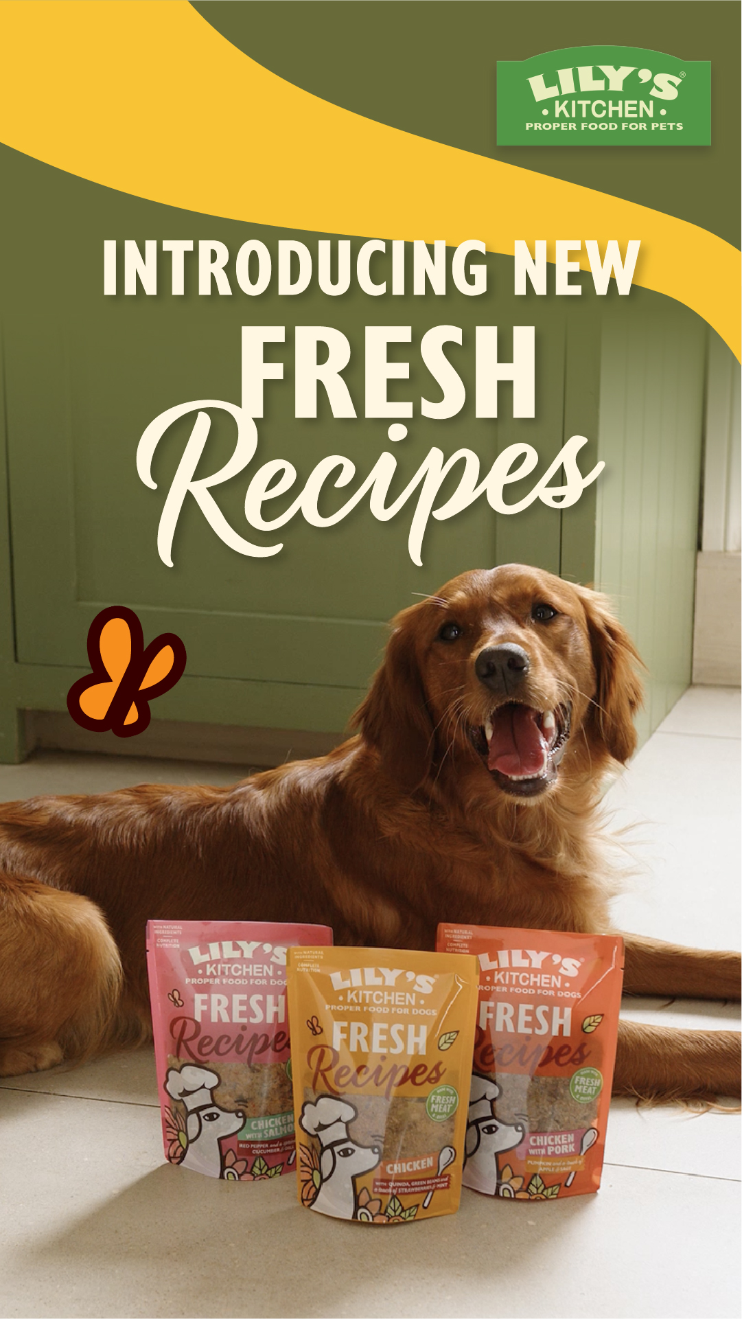 Lily's Kitchen ad